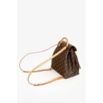 Louis Vuitton Montsouris PM Backpack in Monogram Canvas - Image 4