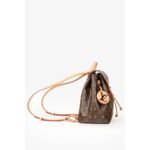Louis Vuitton Montsouris PM Backpack in Monogram Canvas - Image 3