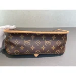Louis Vuitton Diane Monogram Canvas Bag with Pink Embroidered Strap - Image 5