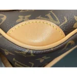 Louis Vuitton Diane Monogram Canvas Bag with Pink Embroidered Strap - Image 9