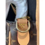 Louis Vuitton Diane Monogram Canvas Bag with Pink Embroidered Strap - Image 11