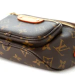 Monogram Mini Bumbag - Image 8