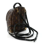 Monogram Palm Springs Backpack Mini - Image 2