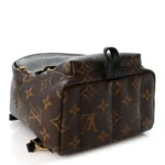 Monogram Palm Springs Backpack Mini - Image 3