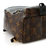 Monogram Palm Springs Backpack Mini - Image 7